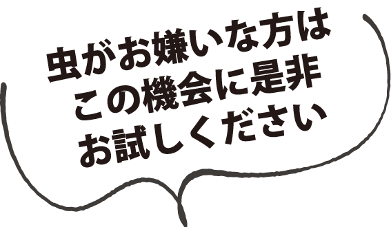 虫がお嫌いな方はこの機会に是非お試しください