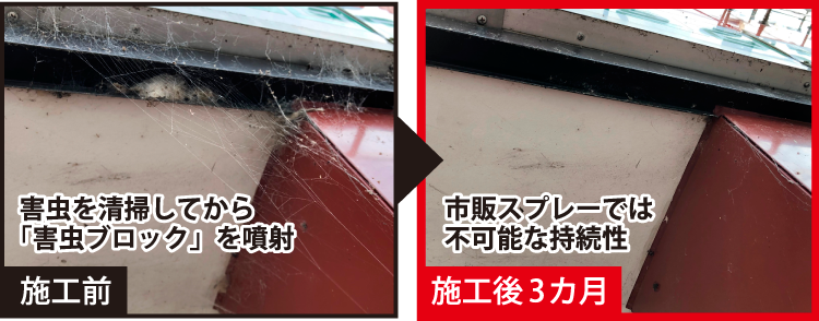 施工前と施工後3ヶ月の比較
